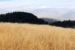 IMG_4373