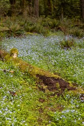 IMG_4374