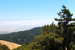 IMG_4383