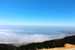 IMG_4386