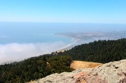 IMG_4387