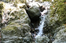 IMG_4397