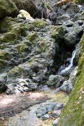 IMG_4400