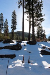 IMG_4423.jpg