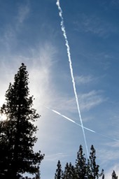 IMG_4428.jpg