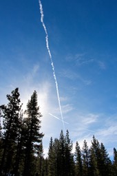 IMG_4429.jpg