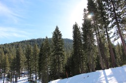IMG_4430.jpg