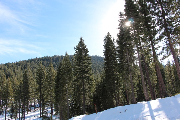 IMG_4430.jpg