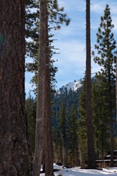 IMG_4432.jpg