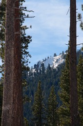 IMG_4433.jpg