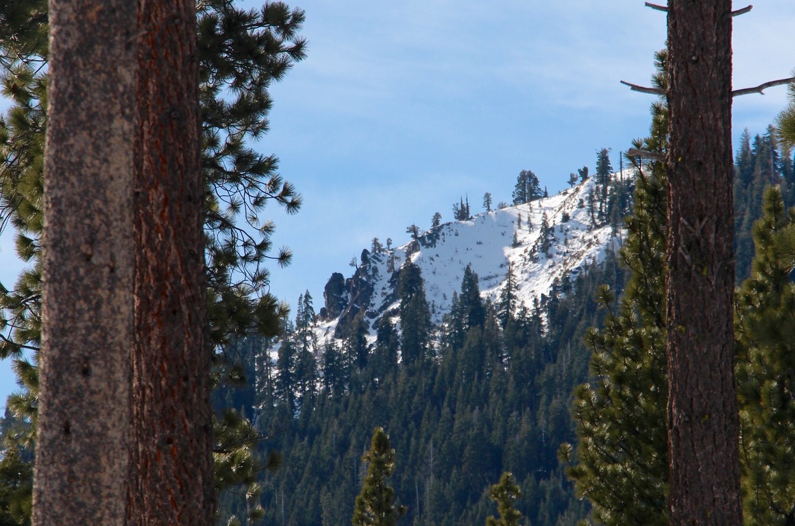 IMG_4433.jpg