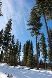 IMG_4434.jpg