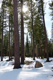 IMG_4436.jpg