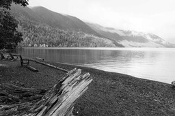IMG_4439