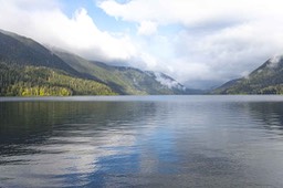 IMG_4445