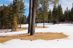 IMG_4446.jpg