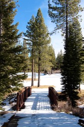 IMG_4449.jpg