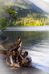 IMG_4453