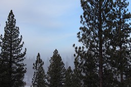 IMG_4454.jpg