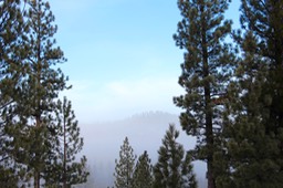 IMG_4455.jpg
