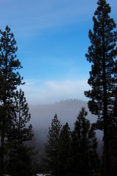 IMG_4456.jpg
