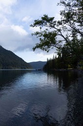 IMG_4471