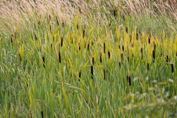 IMG_4847