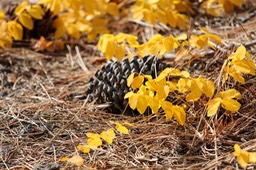 IMG_4853