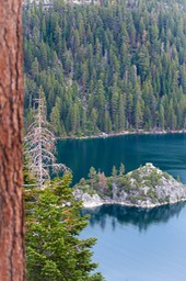 IMG_4951