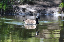 IMG_4993