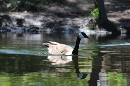 IMG_4994