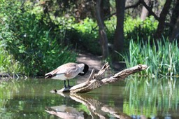 IMG_4999