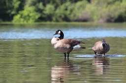 IMG_5007