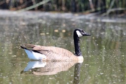IMG_5013