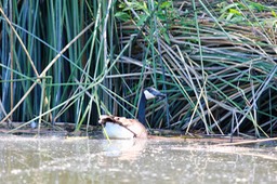 IMG_5015