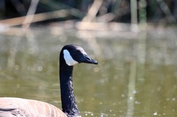 IMG_5017
