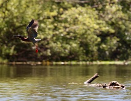 IMG_5020