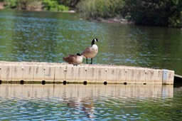 IMG_5029