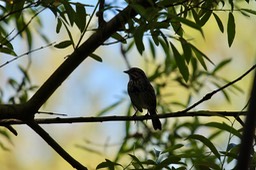 IMG_5032