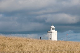 IMG_5222