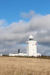 IMG_5223