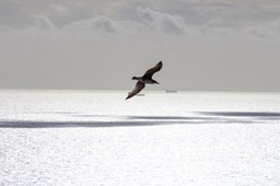 IMG_5227