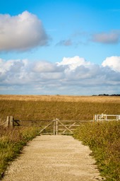 IMG_5236