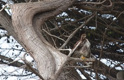 IMG_5261.jpg