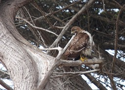 IMG_5265.jpg