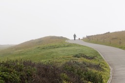 IMG_5268.jpg