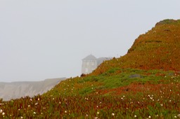 IMG_5287.jpg