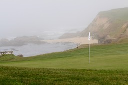 IMG_5292.jpg