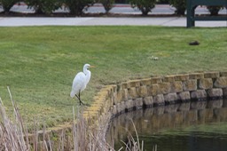 IMG_5296.jpg