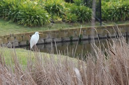 IMG_5297.jpg